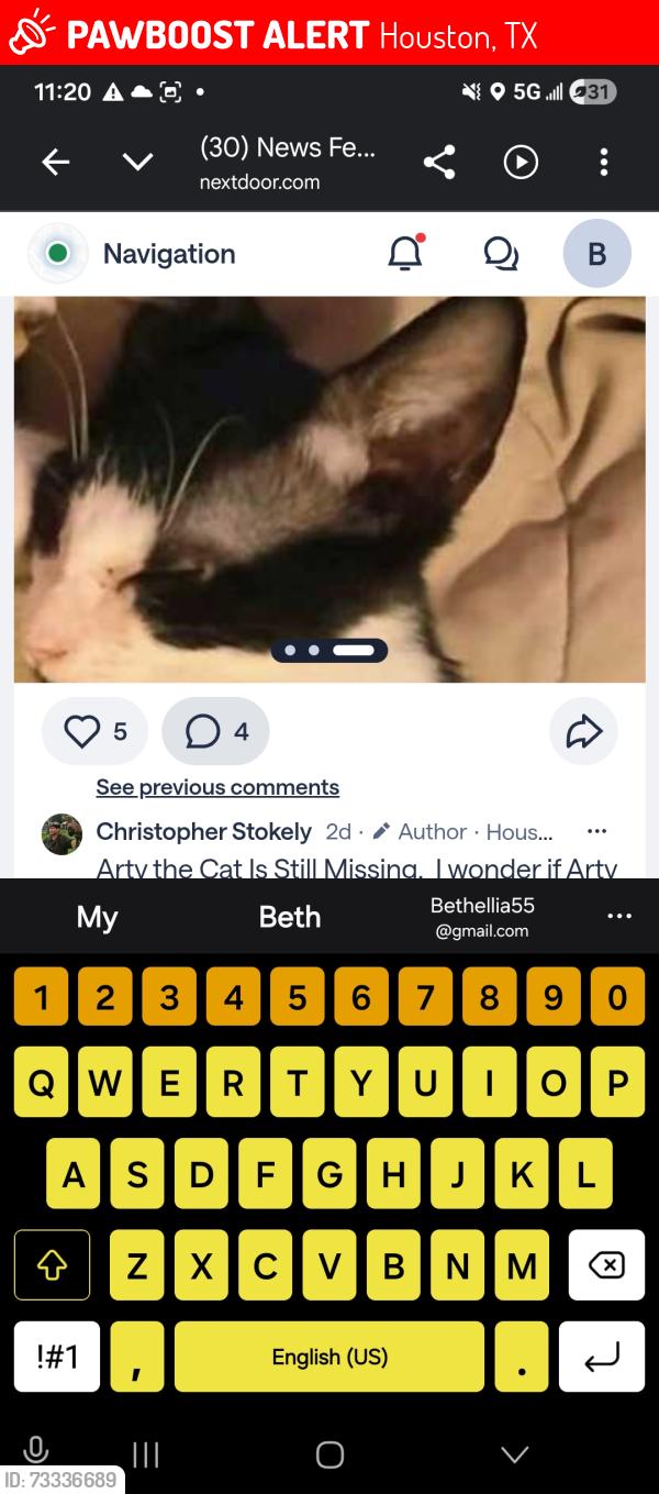 Lost Male Cat last seen Avenue I, Houston, TX 77011