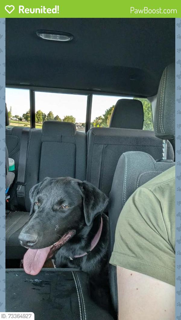 Reunited Male Dog last seen Jimmy Camp and Ohio Ave, Fountain, CO 80817