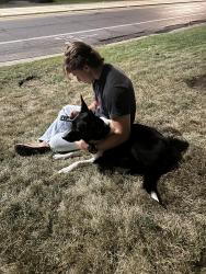 Found/Stray Male Dog last seen In front of McGillis School 1300 E, Salt Lake City, UT 84102