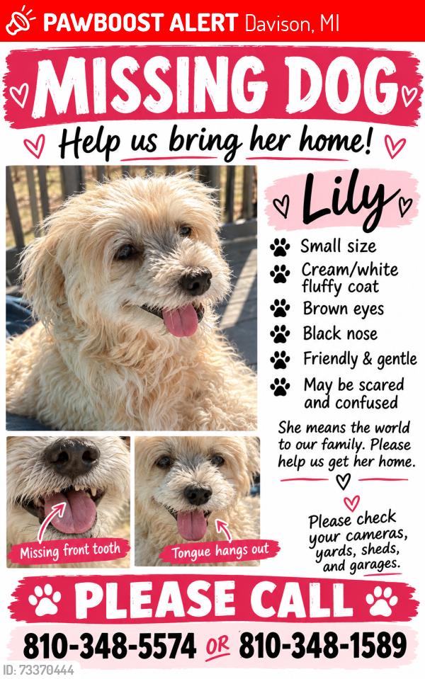 Lost Female Dog last seen Oak rd near Coldwater and Clark rd, Davison, MI 48423