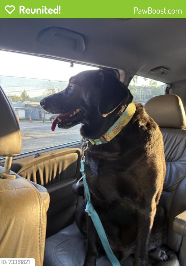 Reunited Male Dog last seen Ash pantry/sweeten creek rd, Asheville, NC 28803