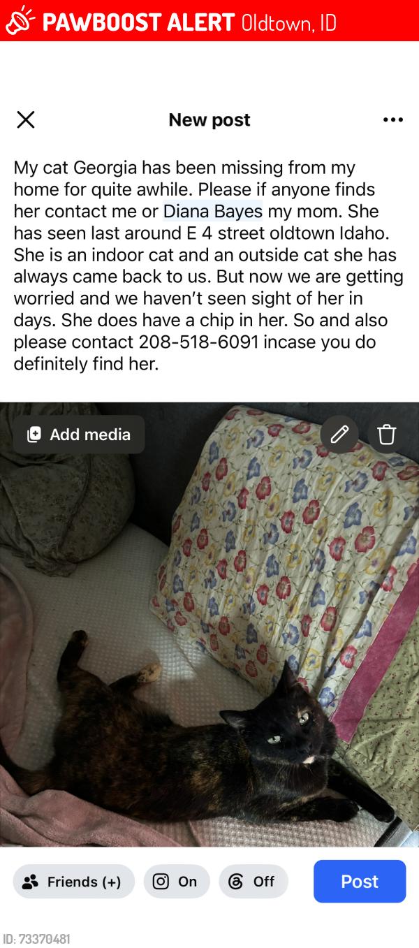Lost Female Cat last seen Near E fourth Street, Oldtown, ID 83822