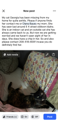 Lost Female Cat last seen Near E fourth Street, Oldtown, ID 83822
