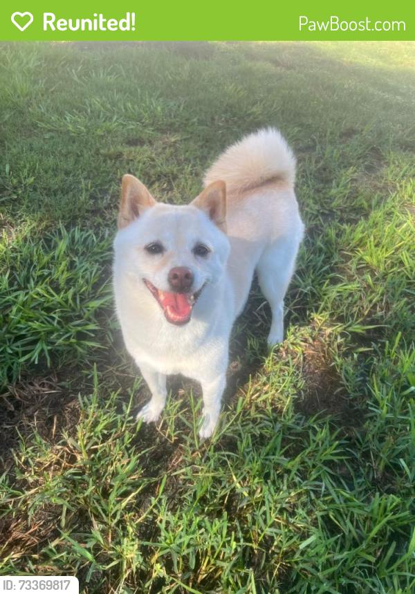 Reunited Female Dog last seen Summerall Apartment, Riverview, FL 33578