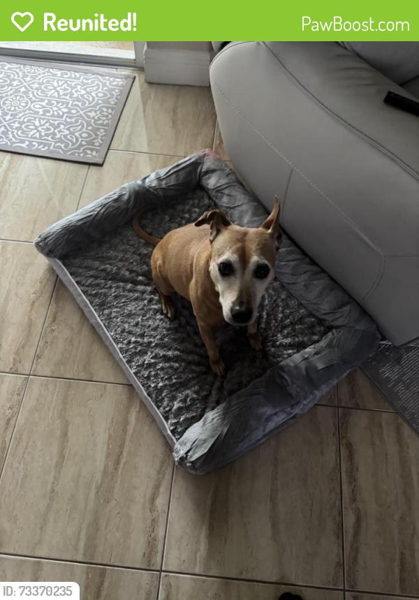 Reunited Female Dog last seen Volkerts&sandia, Port St. Lucie, FL 34983