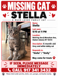 Lost Female Cat last seen Nehring and monohan, Staten Island, NY 10314