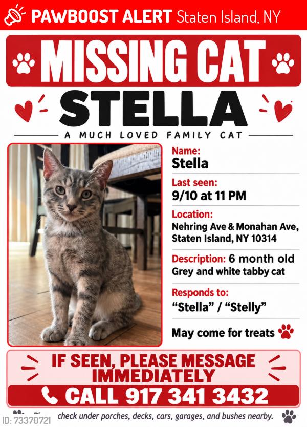 Lost Female Cat last seen Nehring and monohan, Staten Island, NY 10314