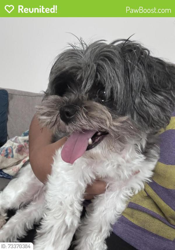 Reunited Female Dog last seen Ramsgate community, Concord, NC 28025