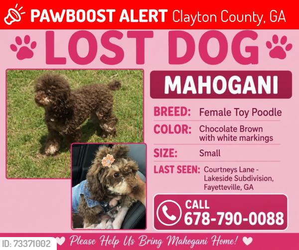 Lost Female Dog last seen Courtney’s Lane & Lakeside Parkway, Clayton County, GA 30215