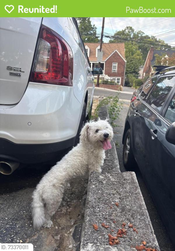 Reunited Male Dog last seen Near block of Nicholson, Hyattsville, MD 20782