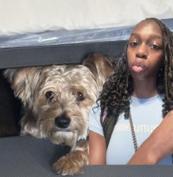 Lost Male Dog last seen High Point Housing Area off Tobacco Road, Hephzibah, GA 30815