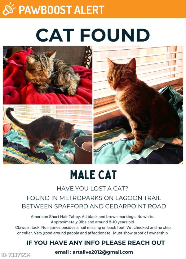 Found/Stray Male Cat last seen Cedarpoint Rd Lewis Road, Olmsted Township, OH 44138