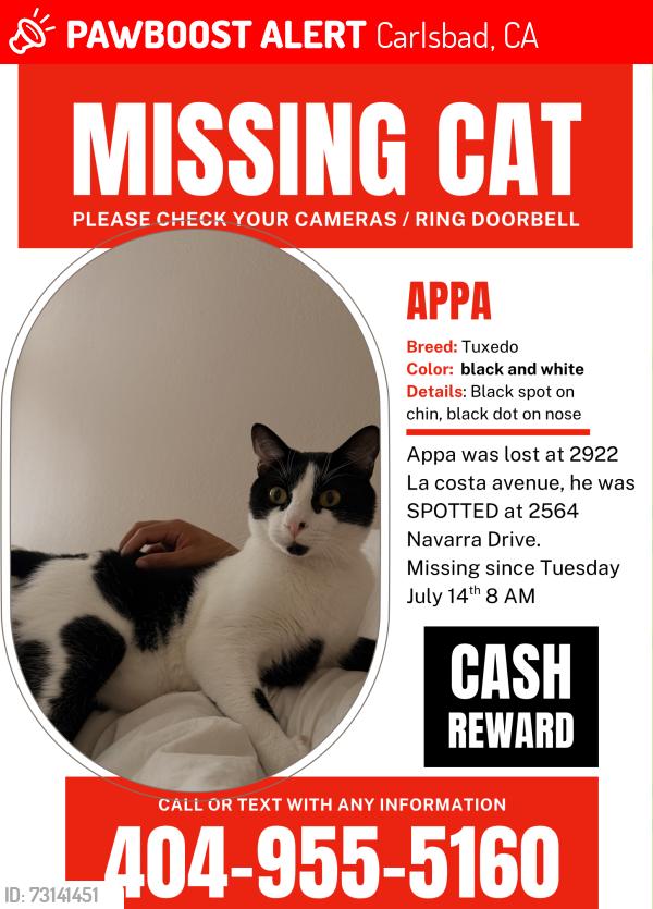 Lost Male Cat last seen Near La costa avenue, Carlsbad, CA 92009