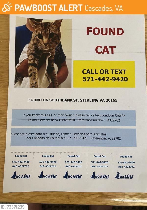 Found/Stray Male Cat last seen Cascades Parkway (by the Giant Food store), Cascades, VA 20165
