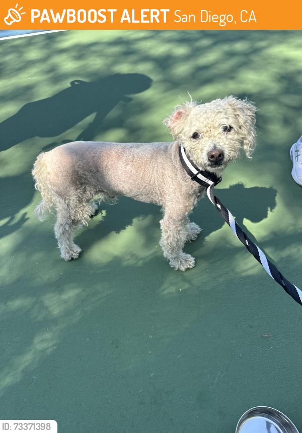Found/Stray Male Dog last seen W Bernardo Dr, San Diego, CA 92127