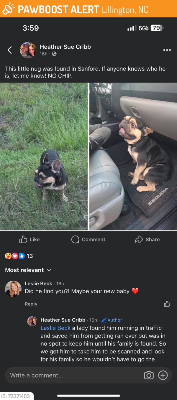 Found/Stray Male Dog last seen Unknown, Lillington, NC 27546