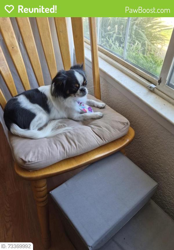 Reunited Male Dog last seen Near Maserati Ct, Modesto, CA 95356, USA, Modesto, CA 95356