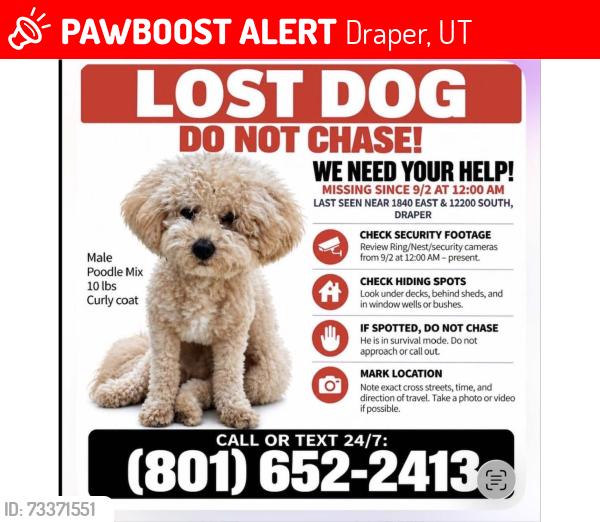 Lost Male Dog last seen Near East 12200 South, Draper, UT, Draper, UT 84020