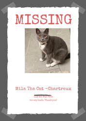 Lost Female Cat last seen N/a, Pompano Beach, FL 33060