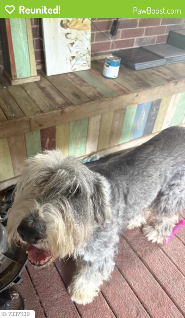 Reunited Male Dog last seen Highgate ln, Rowlett, TX 75088