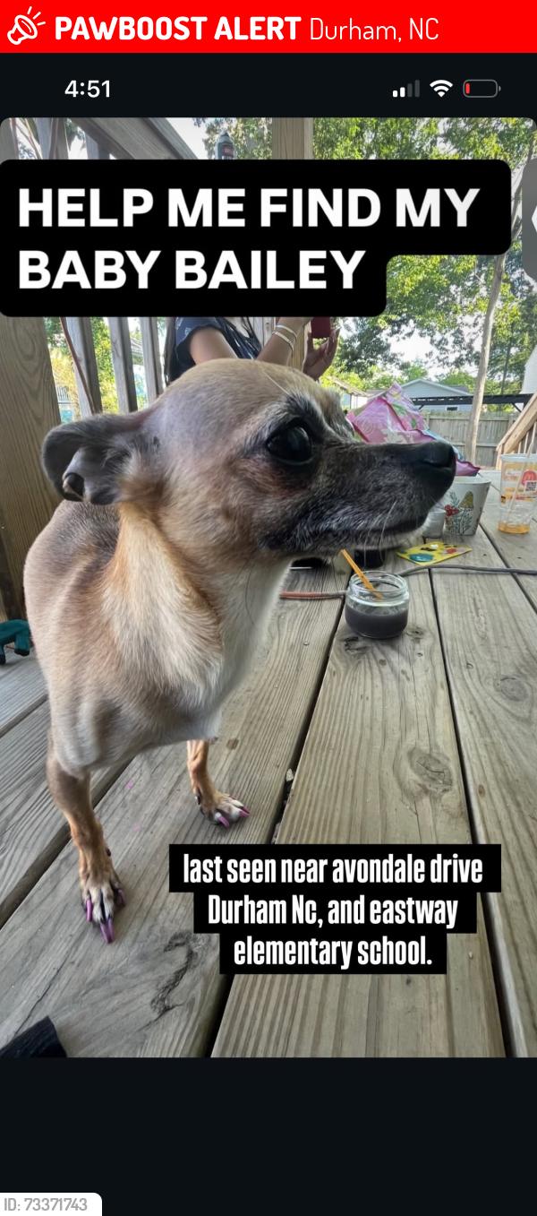 Lost Female Dog last seen Alston ave, Durham, NC 27701