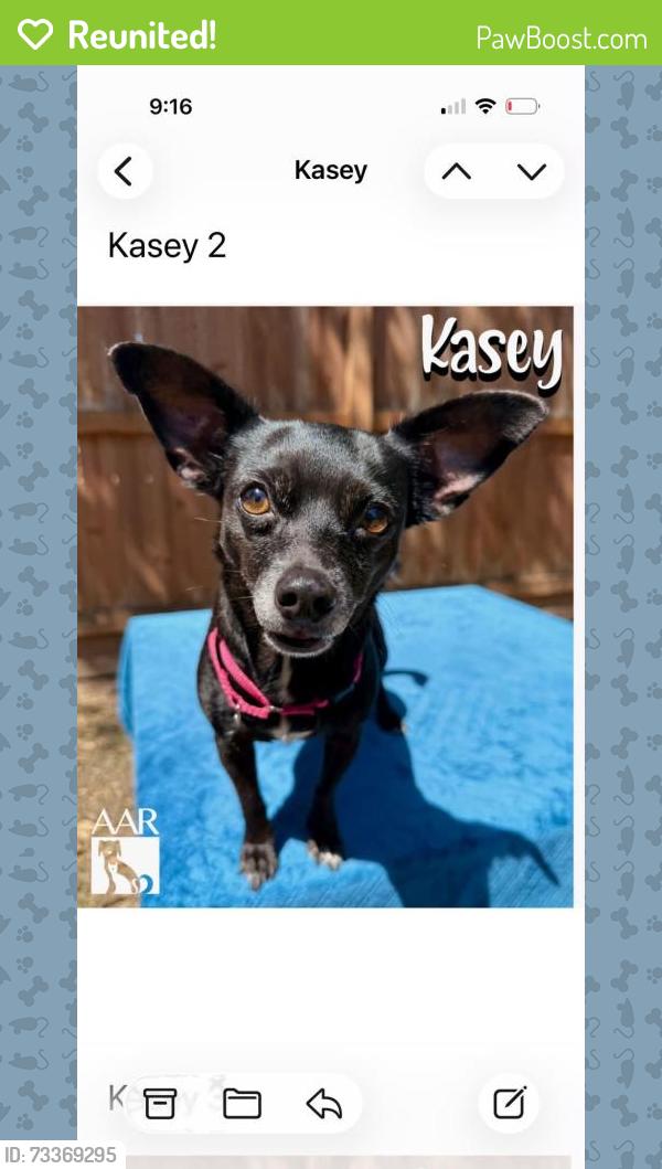 Reunited Female Dog last seen Eaglenest and Rankin Rd in Timberwood Subdivision, Humble, TX 77396