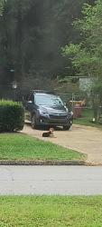 Reunited Unknown Dog last seen Near Jacob Dr Crestview FL 32536, Crestview, FL 32536