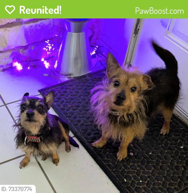Reunited Male Dog last seen Meadow Lake and William Cannon Drive, Austin, TX 78744