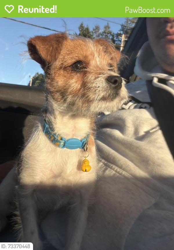Reunited Male Dog last seen Near SE Francis Ave Gresham, OR 97080 United States, Gresham, OR 97080