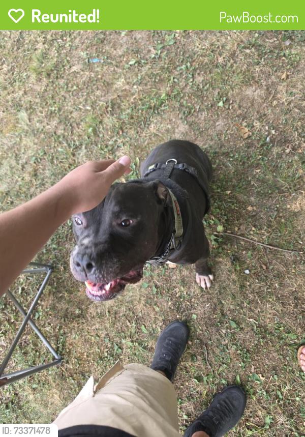 Reunited Male Dog last seen Near aquatic road, Nashville, TN 37211