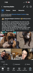 Lost Female Dog last seen Eleanor WV, Eleanor, WV 25070