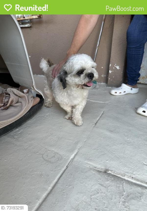 Reunited Unknown Dog last seen San luis, South Gate, CA 90280