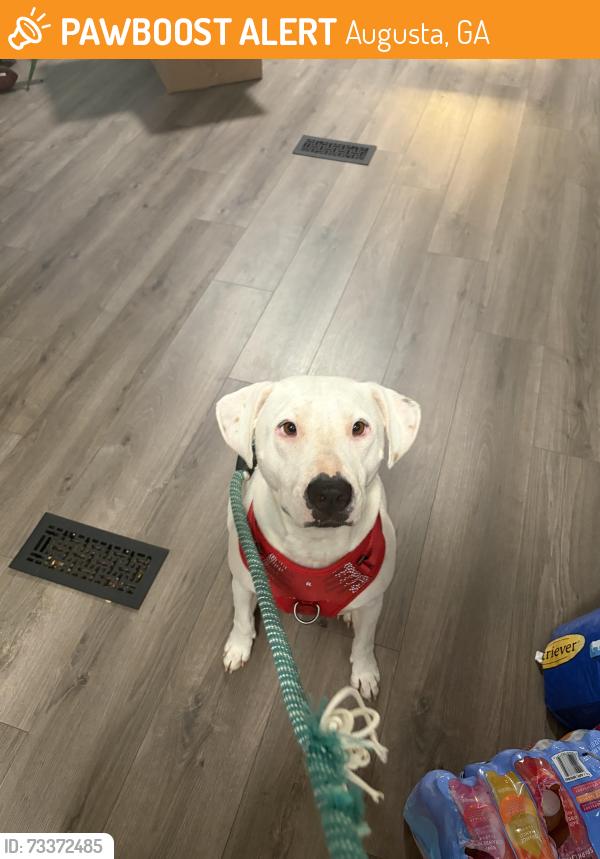 Found/Stray Female Dog last seen Near community center, Augusta, GA 30805