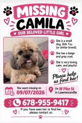 Lost Female Dog last seen West pike street, Lawrenceville, Lawrenceville, GA 30046