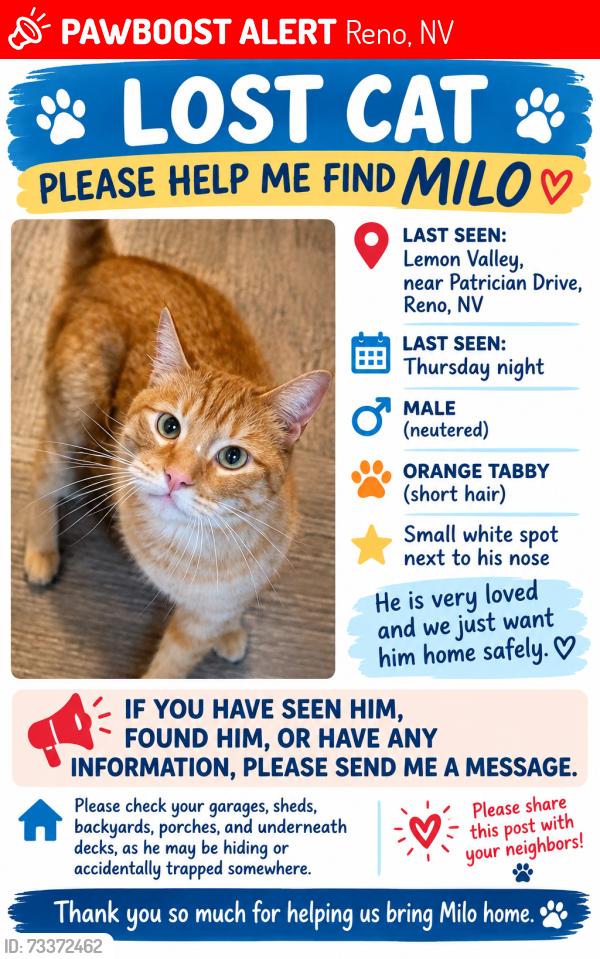 Lost Male Cat last seen Lemon drive, Reno, NV 89506