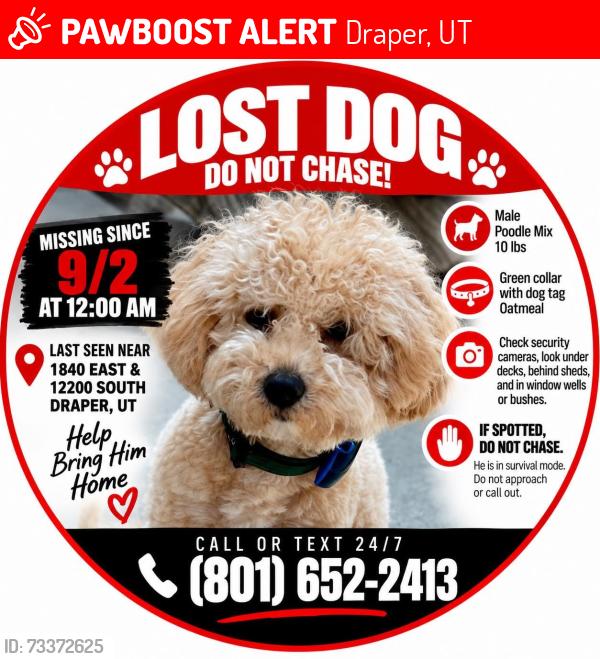 Lost Male Dog last seen Near South 1840 East Draper Utah, Draper, UT 84020