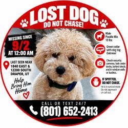 Lost Male Dog last seen Near South 1840 East Draper Utah, Draper, UT 84020