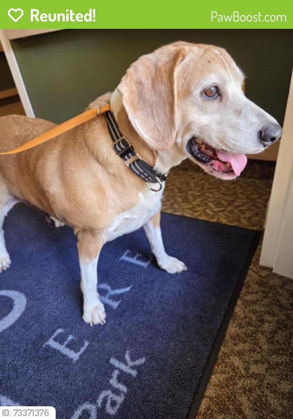 Reunited Unknown Dog last seen Cascade Park - Avamere, Vancouver, WA 98683