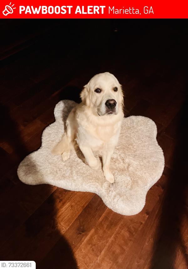 Lost Male Dog last seen Sewell Mill and Sandy Plains, Marietta, GA 30062