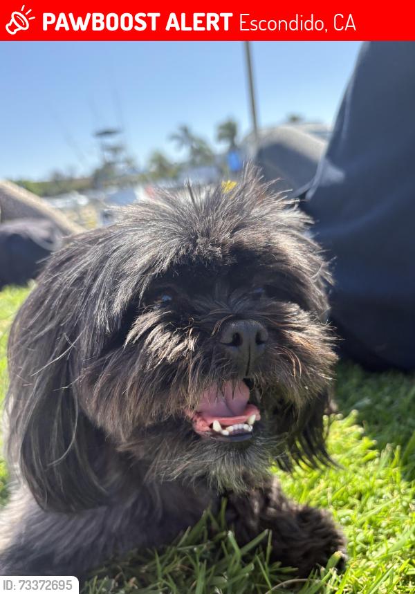 Lost Male Dog last seen Lyndsey park, Escondido, CA 92046