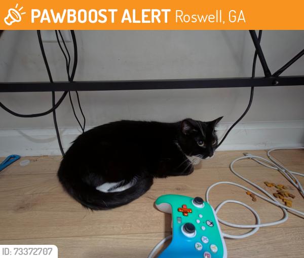 Found/Stray Unknown Cat last seen Woodstock rd, Roswell, GA 30075