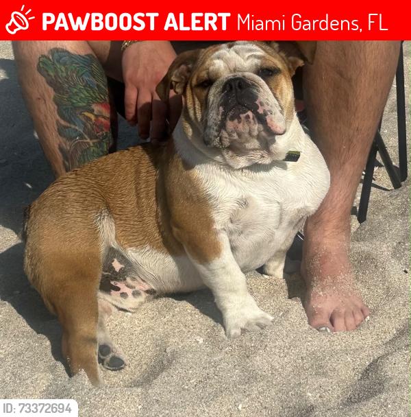 Lost Male Dog last seen Miami gardens, Miami Gardens, FL 33056