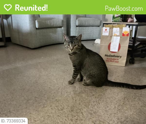 Reunited Male Cat last seen Nevin Hall, foundation villaige, Lancaster, PA 17603