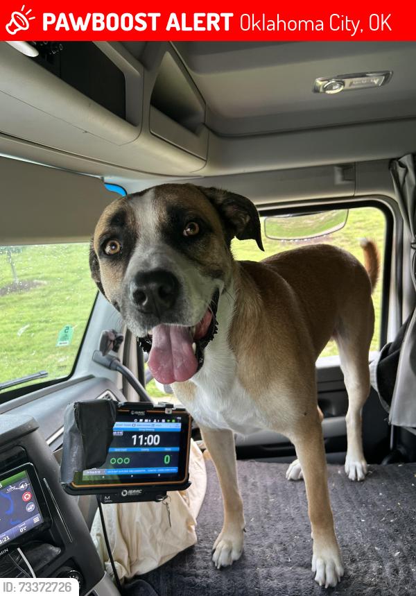 Lost Male Dog last seen Se 23rd rd st, s may ave., Oklahoma City, OK 73108