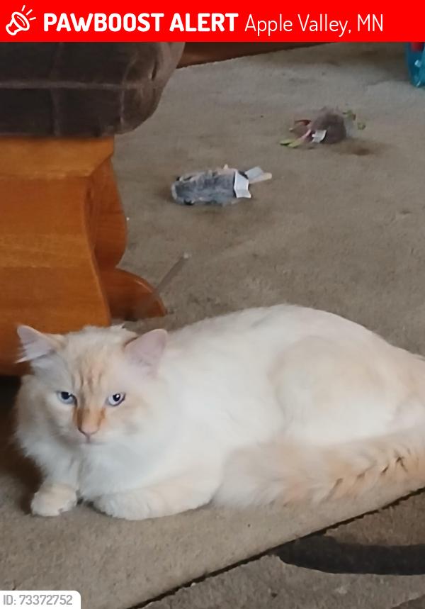 Lost Male Cat last seen 160th and Garrett Path, Apple Valley, MN 55068