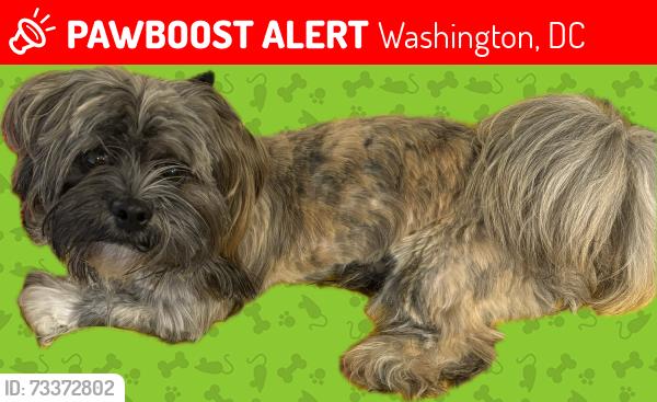 Lost Male Dog last seen Ridge Rd Se, Washington, DC 20019