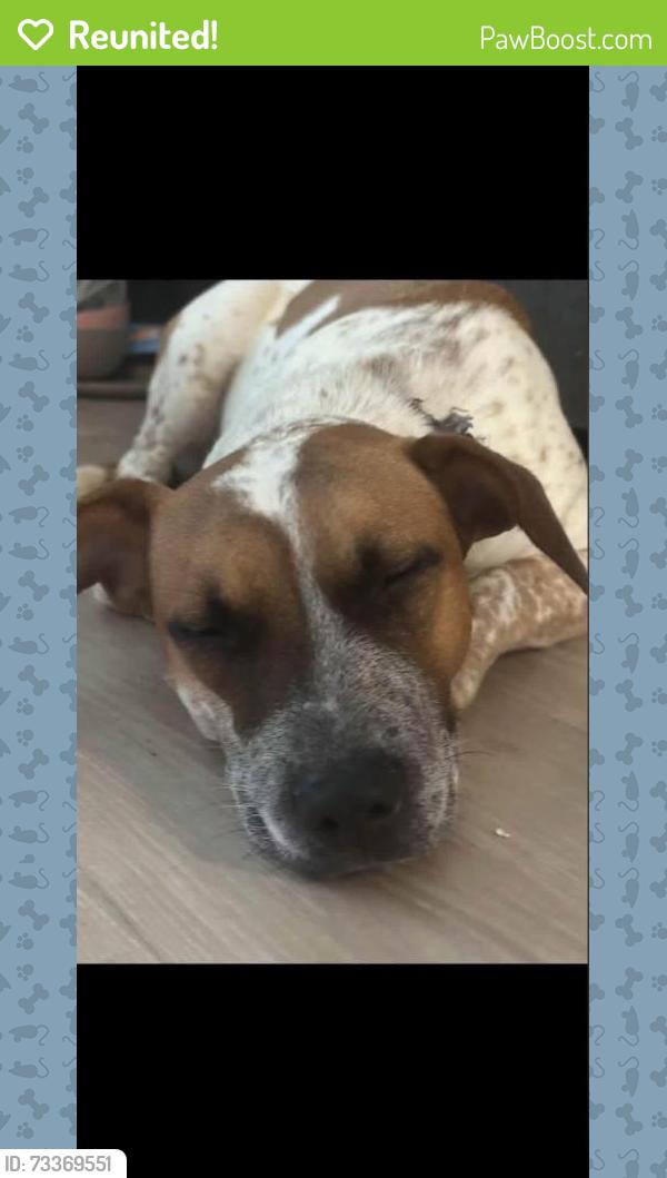 Reunited Female Dog last seen Beavercreek, OH, USA, Beavercreek, OH 45430