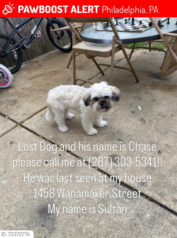 Lost Male Dog last seen 58th and Media Street, Philadelphia, PA 19131