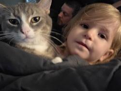 Lost Male Cat last seen Cruz Bay and Kiddle Ln, Monroe, NC 28110