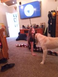 Lost Male Dog last seen Whitney and storey, Suffield Township, OH 44260
